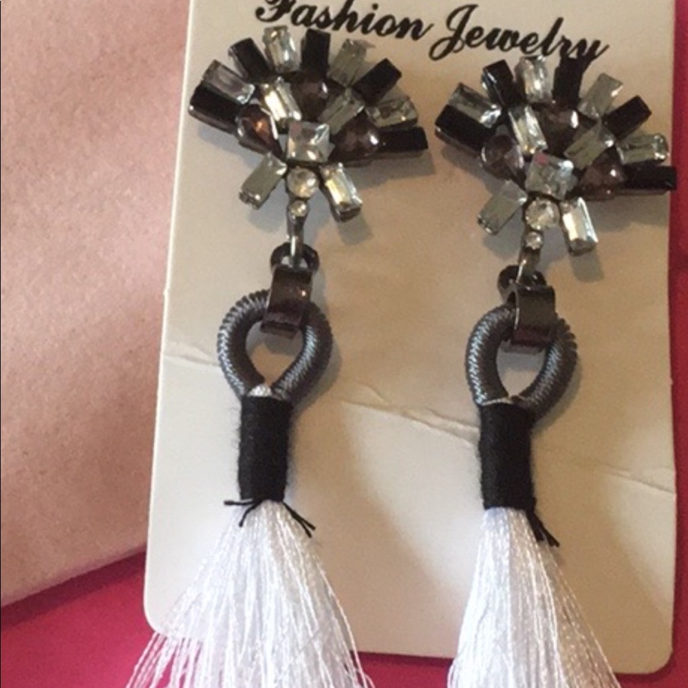 NWT Earrings